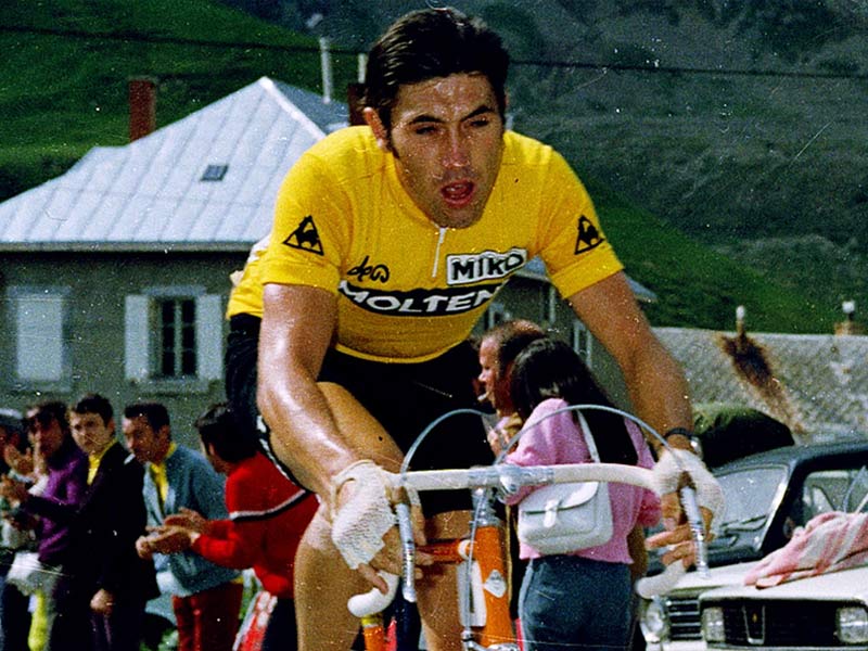 eddie merckx