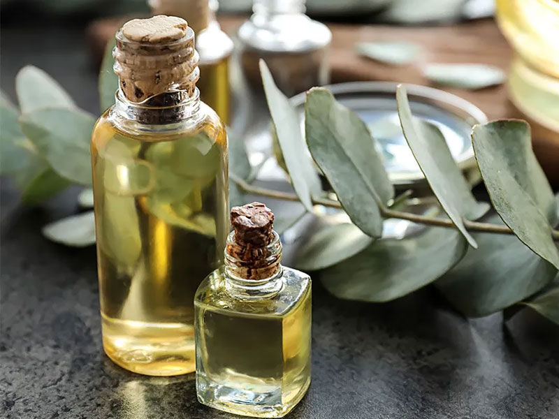 eucalyptus oil benefits