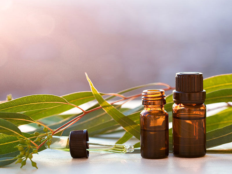 eucalyptus oil