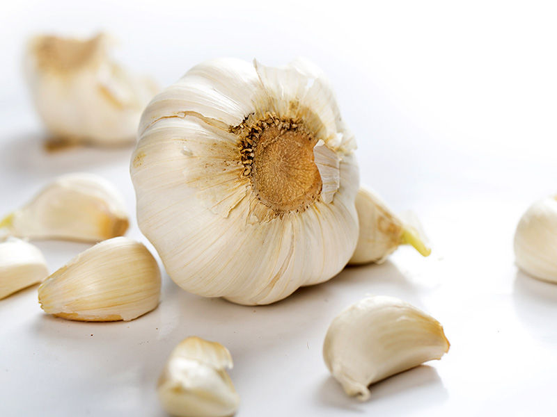 garlic