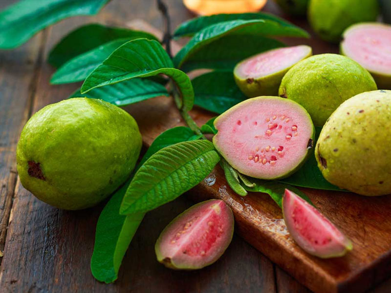 benefits of guava leaves tea