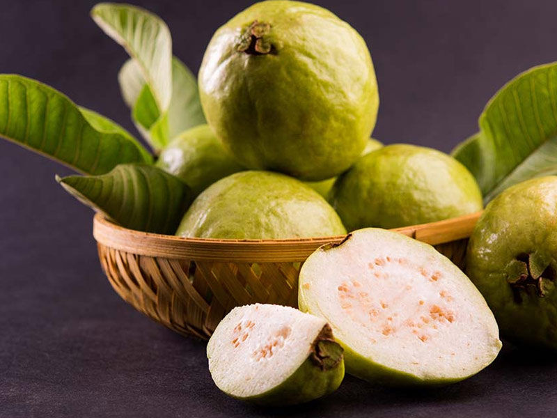 benefits of guava