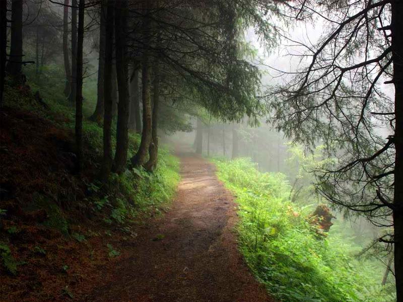 kalatop wildlife sanctuary