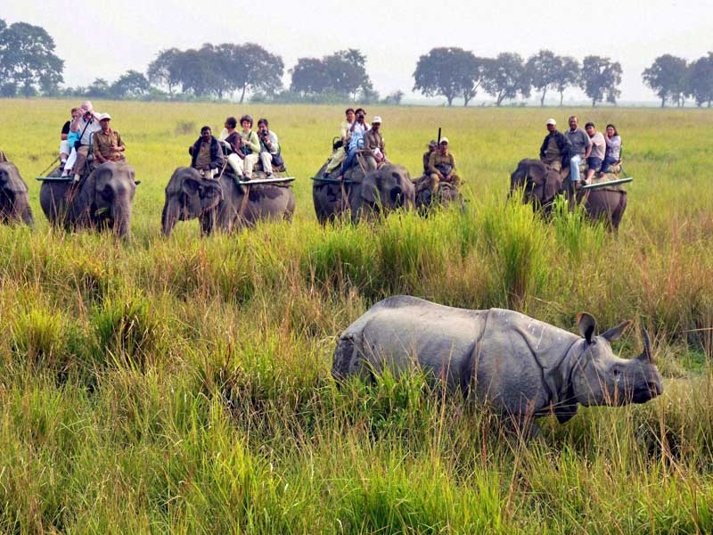 kaziranga national park