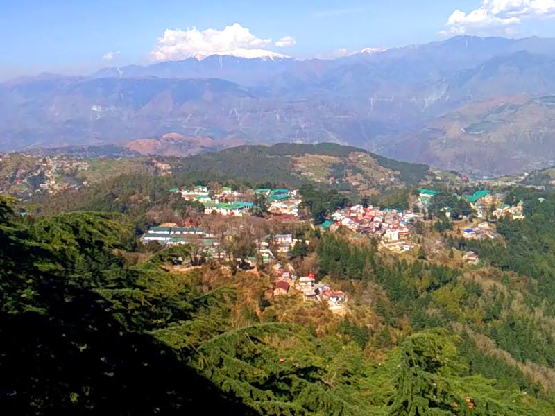 moti tibba