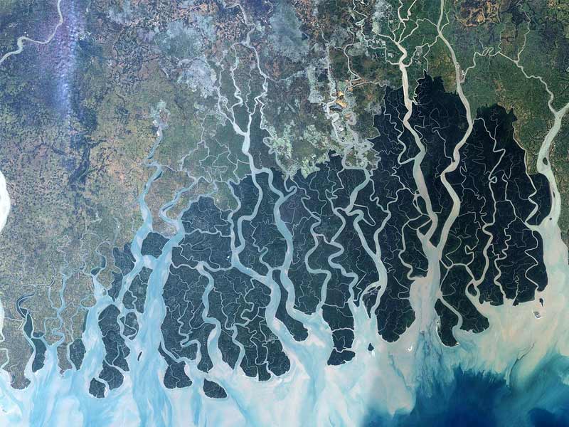 sundarbans geography