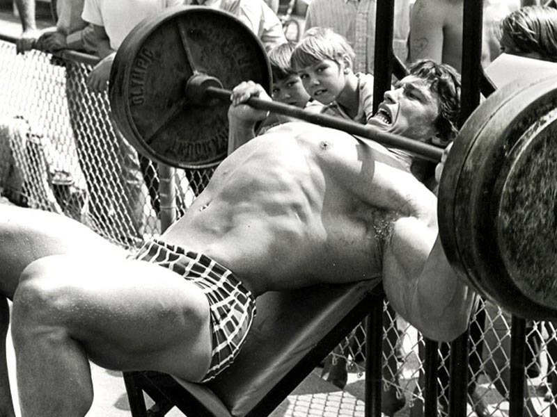 arnold chest press