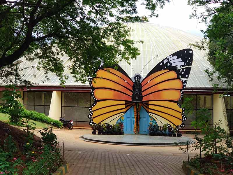 butterfly park