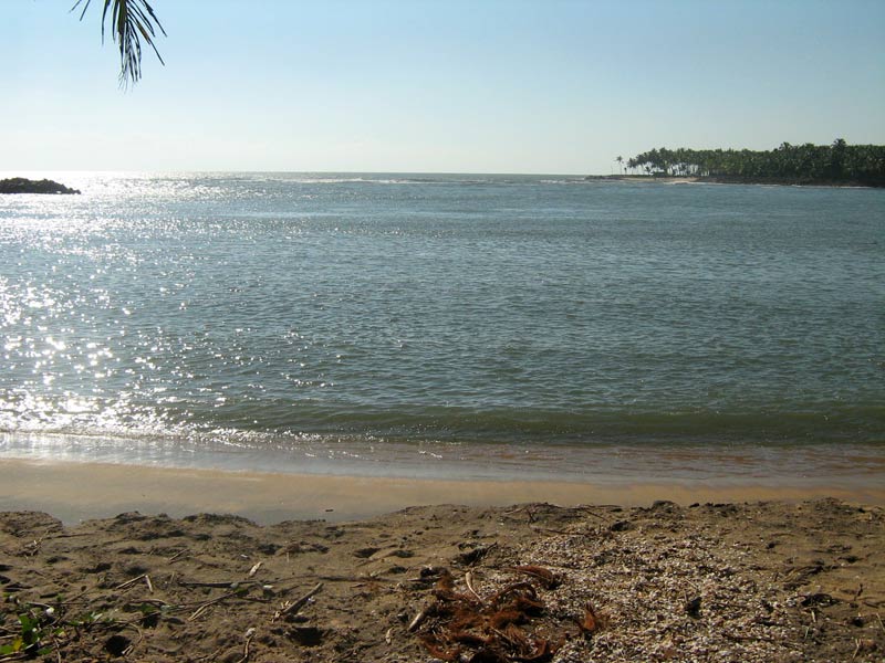 chettuva backwaters