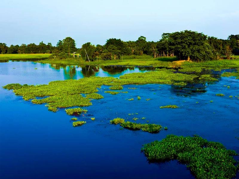 majuli river