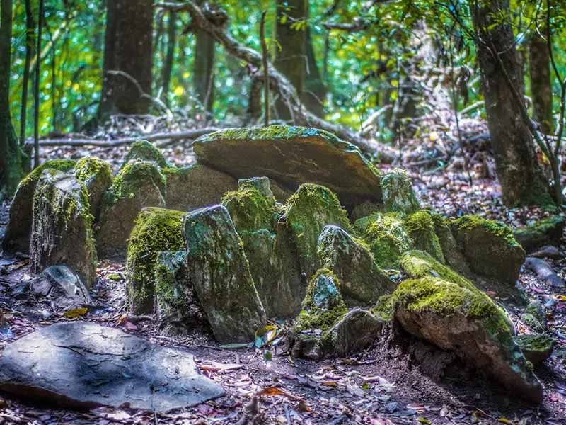 Mawlynnong sacred forests