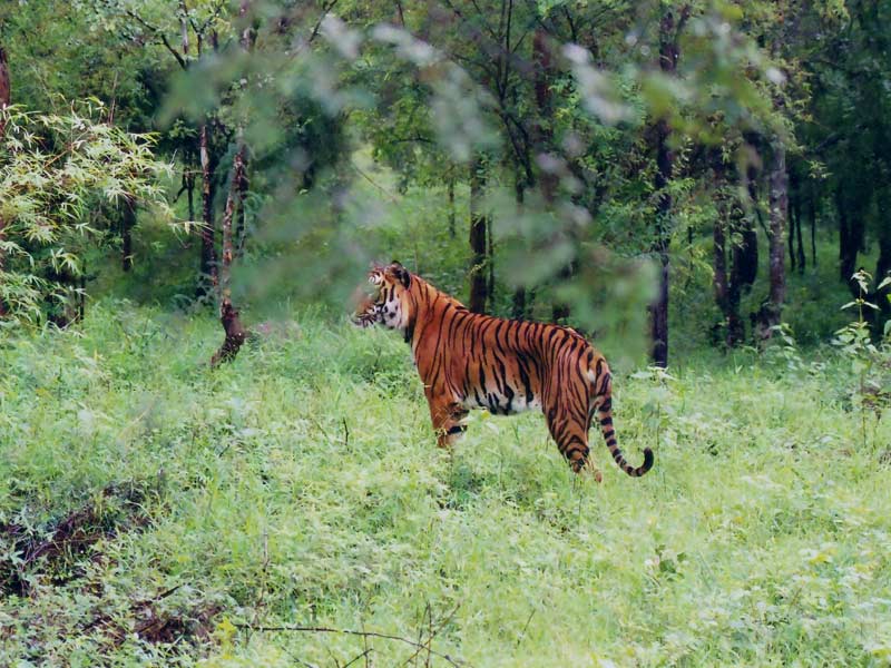 Peopara wildlife sanctuary