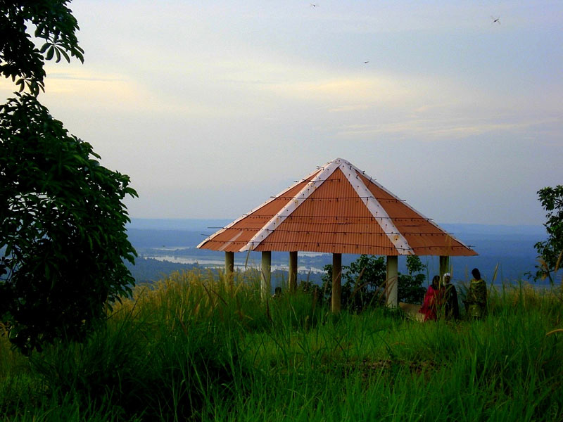 Vildangan kunnu