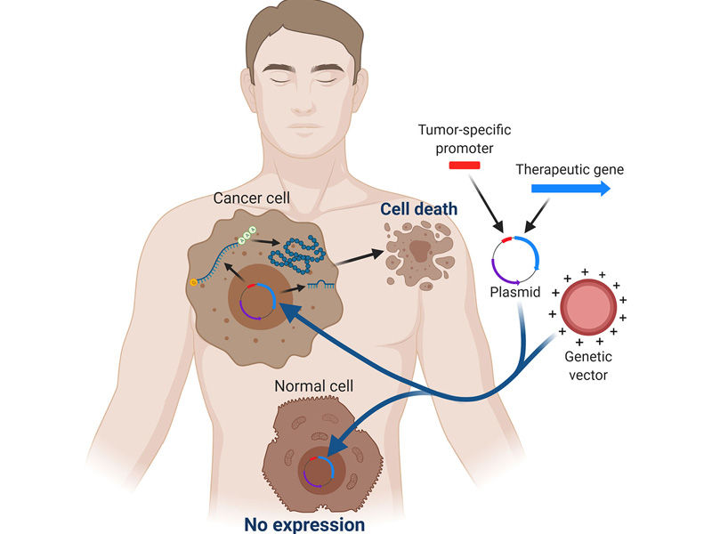 genome therapy functioning