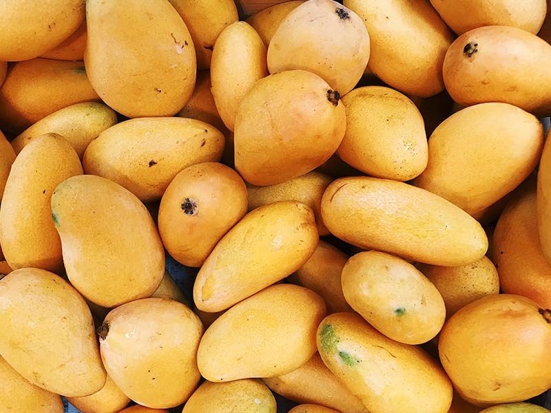benefits of mango