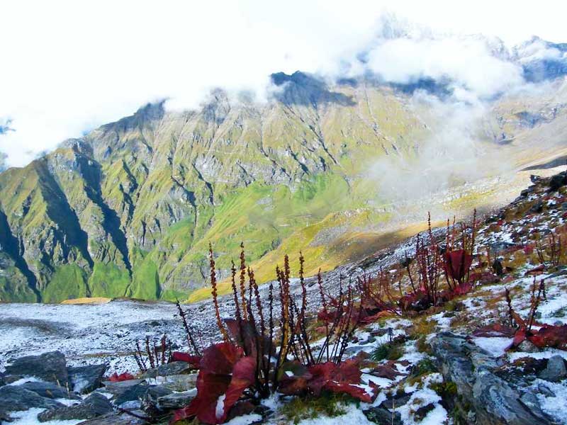 nanda devi national park