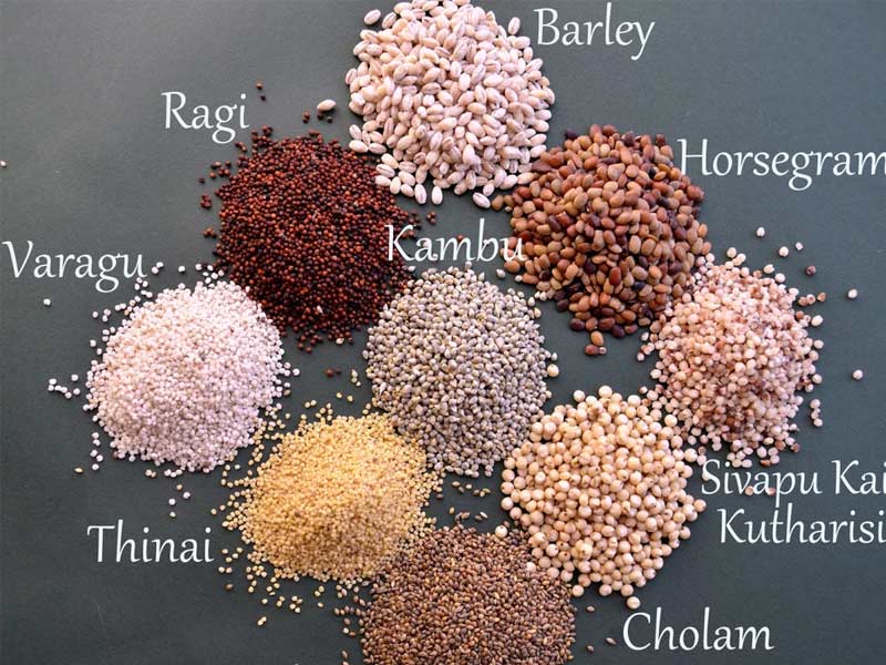 types of millets