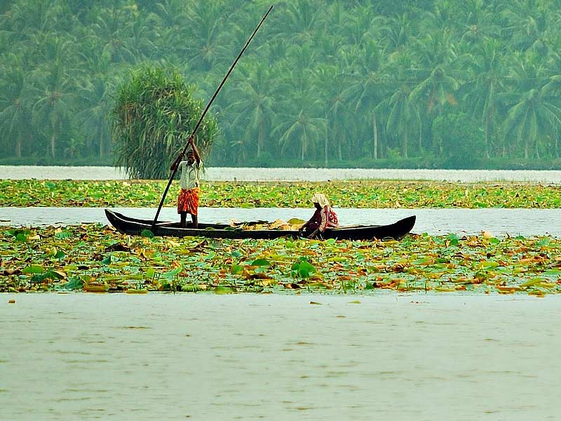 vellayani lake