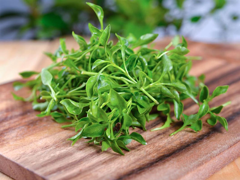 watercress