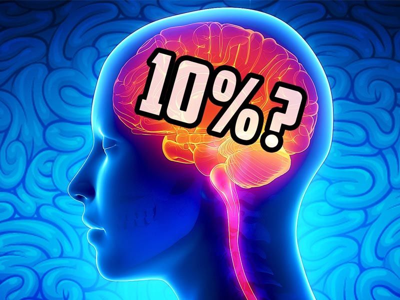 10% brain