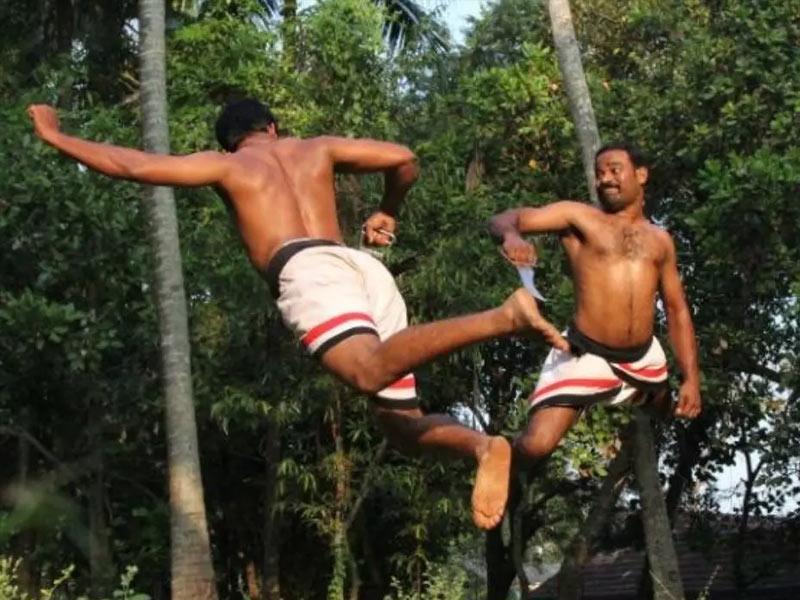 Kalaripayattu movies