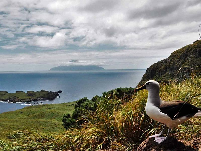 Tristan da Cunha