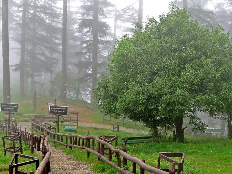 eco park dhanaulti