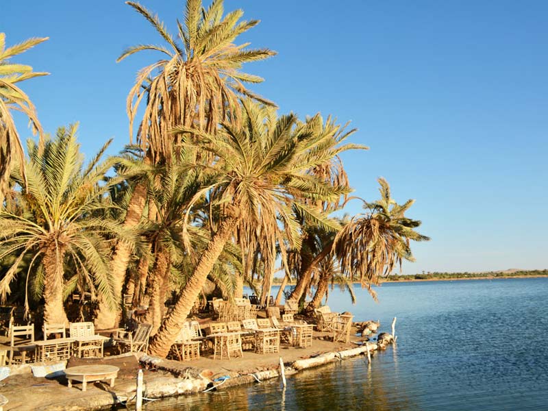 fatnas island