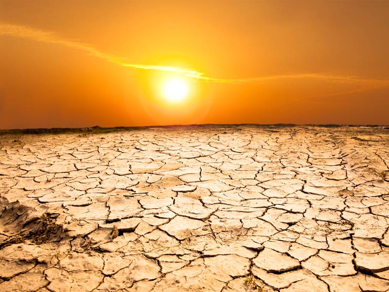 heatwave and droughts