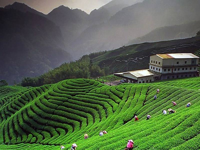 kausani, uttarakhand