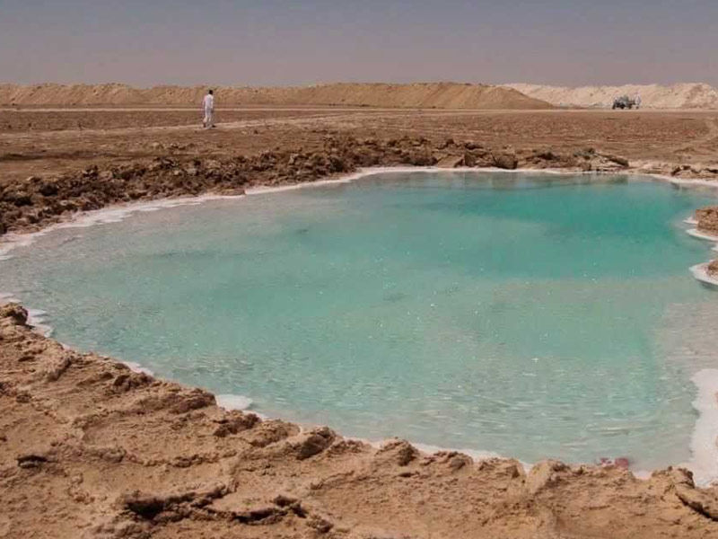 siwa oasis