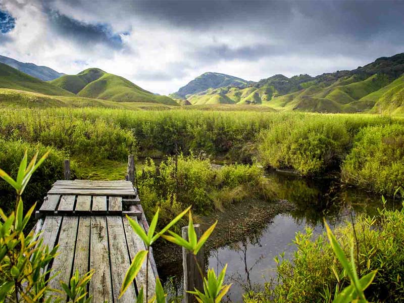 Dzukou Valley