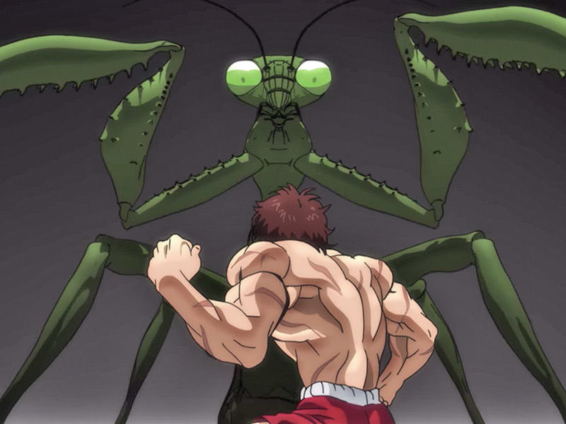 baki hanma, baki hanma netflix, baki the grappler