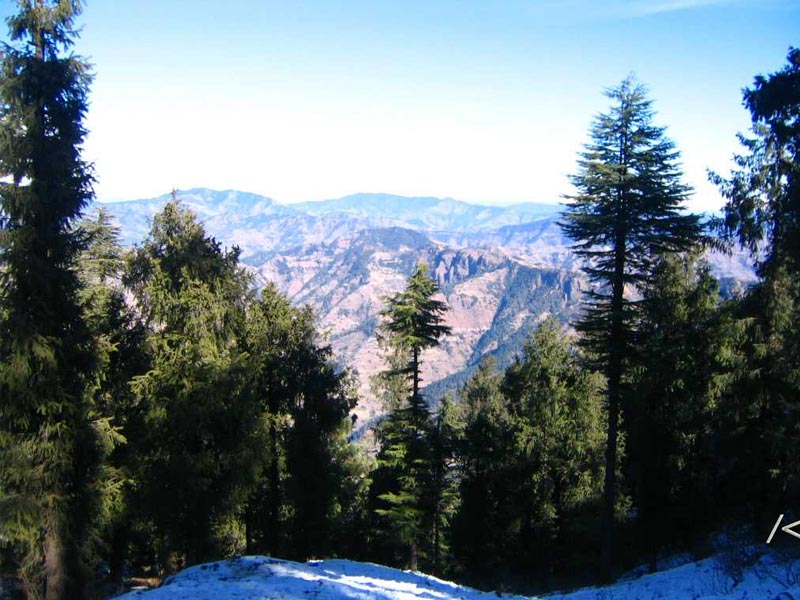 Himachal pradesh, fagu