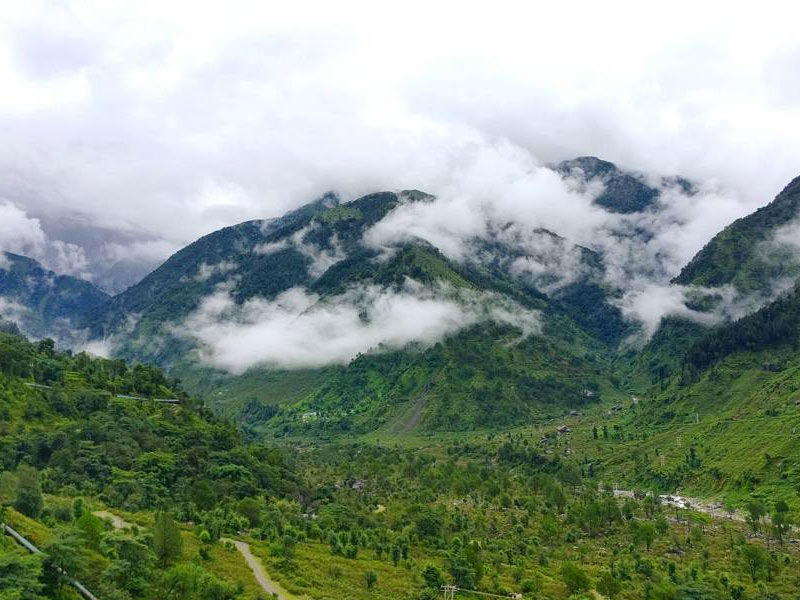 palampur himachal