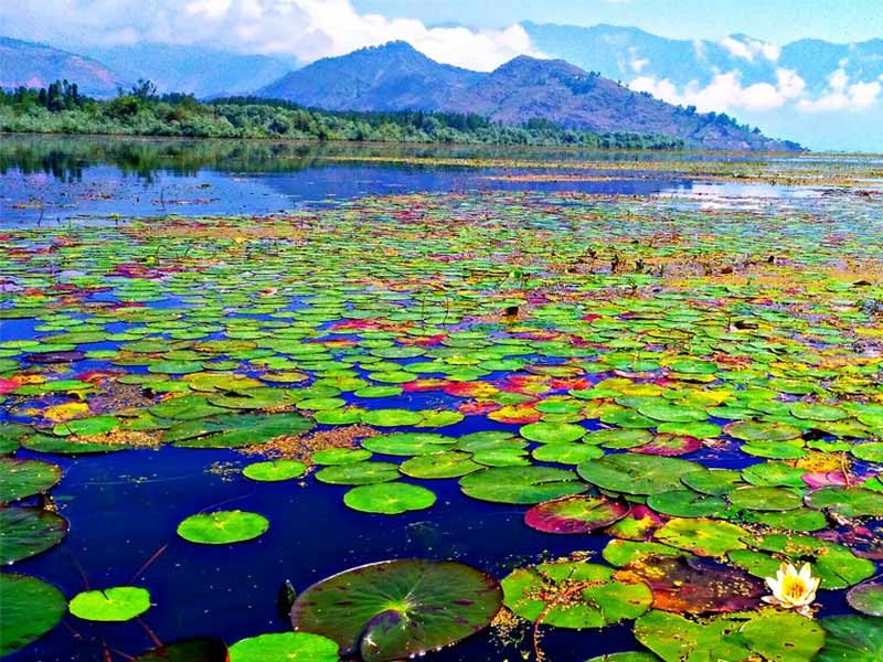 wular lake