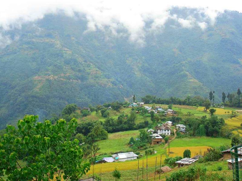 darap village, Pelling