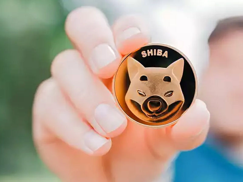 Shiba Inu