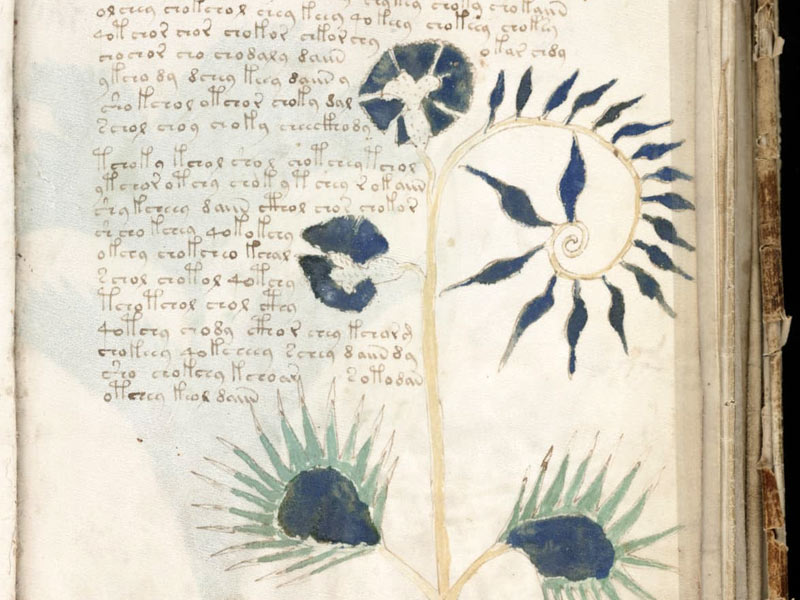 voynich manuscript pdf, voynich manuscript, voynich manuscript decoded 2021, voynich manuscript online