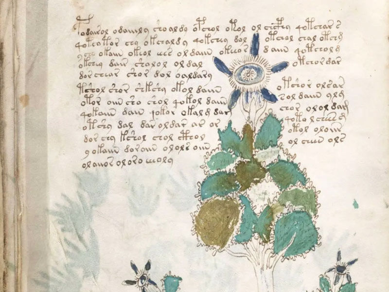 voynich manuscript pdf, voynich manuscript, voynich manuscript decoded 2021, voynich manuscript online