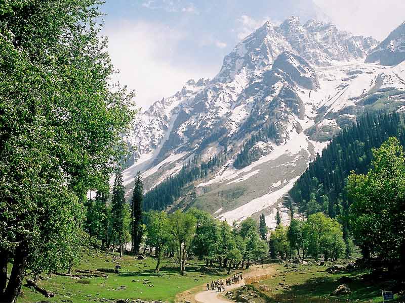 sonamarg, sonamarg camping, sonamarg temperature