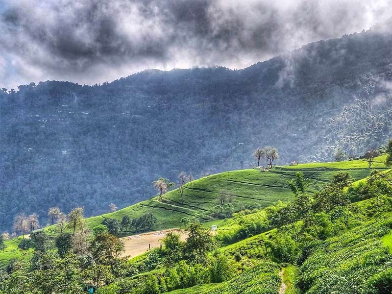 tarku, tarku sikkim