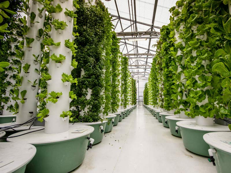 vertical farming, vertical farming benefits, vertical farming advantages, vertical farming about, what is vertical farming, all about vertical farming, vertical farming facts, future of farming