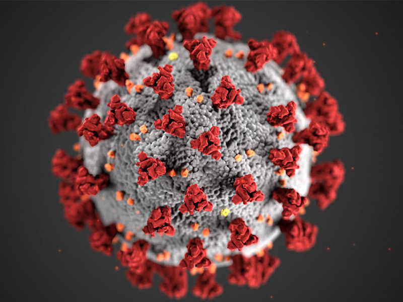 neocov, neocov virus, new virus discovered 2021, new virus after covid 19, is omicron virus dangerous omicron virus in which country, neocov vacancy, ncov coronavirus, new virus, new corona variant, omicron,