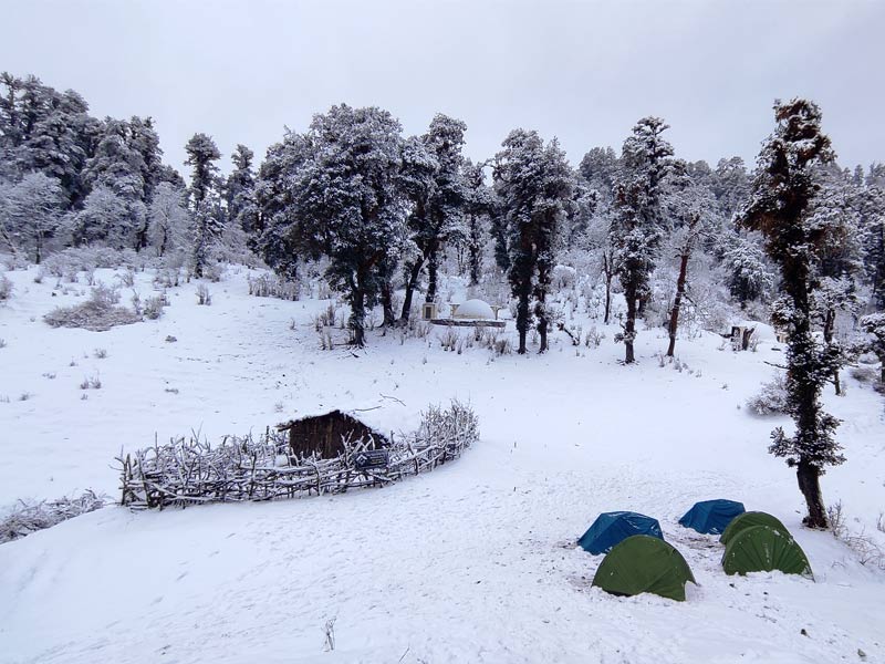 dayra bugyal, dayara bugyal, dayara bugyal trek, dayara bugyal temperature, dayara bugyal winter trek, dayara bugyal uttarkashi, dayara bugyal height, dayara bugyal weather, dayara bugyal trek distance, dayara bugyal in winters, dayara bugyal location, dayara bugyal trek review, barsu to dayara bugyal trek, dayara bugyal trek map, dayara bugyal trek in march, dayara bugyal trek in january, dayara bugyal trek length, dayara bugyal trek route, dayara bugyal trek guide, dayara bugyal distance from dehradun