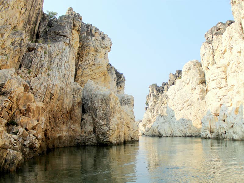 jabalpur, jabalpur travel, jabalpur travel blog, jabalpur travel guide, jabalpur guide, jabalpur madhya pradesh, jabalpur city, jabalpur famous for, jabalpur news, jabalpur tourist places, jabalpur travel places, places to visit in jabalpur, places to visit in jabalpur at night, Dhuandhar Falls , Marble Rocks Narmada River , Balancing rock jabalpur, Madan mahal fort, Indian leopard , Chausath yogini temple jabalpur, dumna, dumna natural reserve, dumna national park