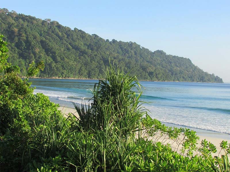 havelock island, havelock island beach resort, havelock island hotels, havelock island resort, havelock andaman, havelock island elephant beach, havelock island from port blair, havelock island in andaman, havelock island honeymoon, havelock island radhanagar beach, havelock island andaman, havelock island beach, havelock island weather, havelock island scuba diving, havelock island new name, havelock island best resorts, havelock island dolphin resort, havelock island restaurants, havelock island at night, havelock island india, havelock island location, havelock island tour package, havelock island temperature, havelock island tourist places, havelock island renamed as