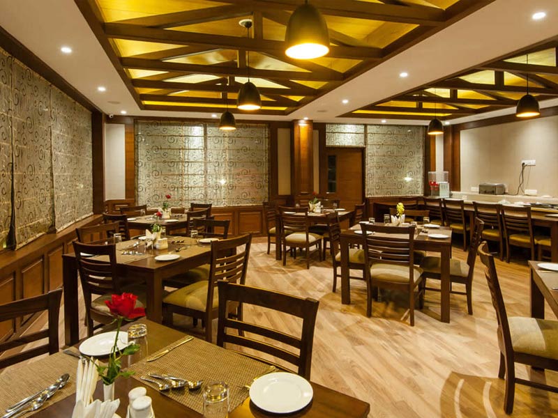 restaurants in manali, best restaurants manali, best restaurants in manali, best places near manali, restaurants in manali mall road, famous restaurants in manali, top restaurants in manali, best veg restaurants in manali, good restaurants in manali, veg restaurants in manali, south indian restaurants in manali, restaurants in old manali, pure veg restaurants in manali, where to eat in manali, restaurants in manali himachal pradesh, top 10 restaurants in manali, non veg restaurants in manali, manali food, manali famous food, manali local food, manali food culture, food of manali, manali food cost, shimla manali famous food, manali famous non veg food, kullu manali local food, manali food places, manali special food items, The Open Air And Multi-Cuisine Restaurant, , rooftop restaurant at keylinga inn, Renaissance , Basil Leaf Restaurant , Dylans Toasted And Roasted Coffee House , La Plage , Il Forno , Open Air Restaurant At Apple Bud Cottages, The Lazy Dog , cafe 1947 , chopsticks restaurant , drifter's cafe , johnson's cafe , fat plate restaurant