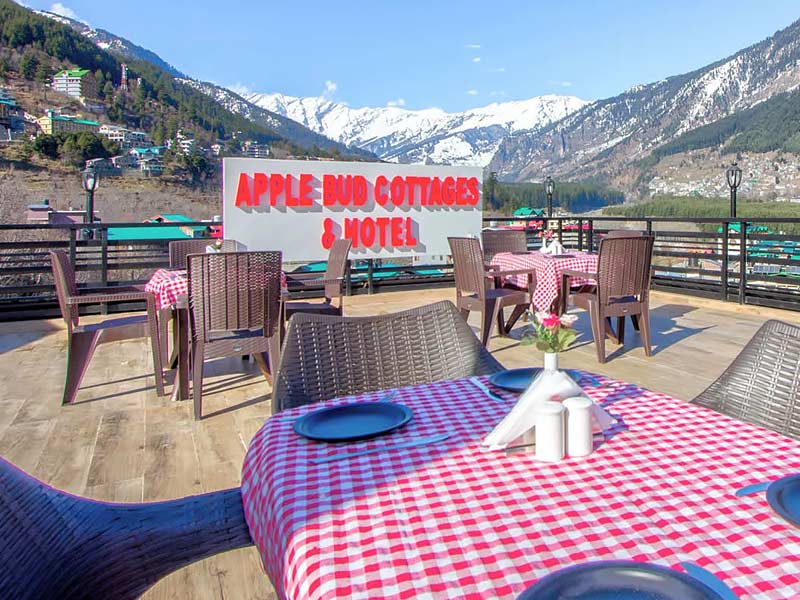 restaurants in manali, best restaurants manali, best restaurants in manali, best places near manali, restaurants in manali mall road, famous restaurants in manali, top restaurants in manali, best veg restaurants in manali, good restaurants in manali, veg restaurants in manali, south indian restaurants in manali, restaurants in old manali, pure veg restaurants in manali, where to eat in manali, restaurants in manali himachal pradesh, top 10 restaurants in manali, non veg restaurants in manali, manali food, manali famous food, manali local food, manali food culture, food of manali, manali food cost, shimla manali famous food, manali famous non veg food, kullu manali local food, manali food places, manali special food items, The Open Air And Multi-Cuisine Restaurant, , rooftop restaurant at keylinga inn, Renaissance , Basil Leaf Restaurant , Dylans Toasted And Roasted Coffee House , La Plage , Il Forno , Open Air Restaurant At Apple Bud Cottages, The Lazy Dog , cafe 1947 , chopsticks restaurant , drifter's cafe , johnson's cafe , fat plate restaurant