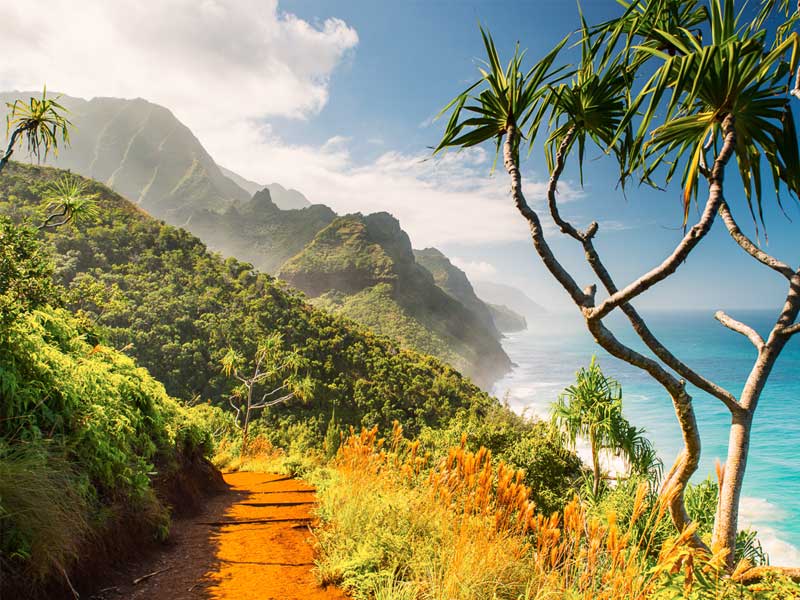 kalalau, kalalau trail, kalalau lookout, kalalau trail permit, kalalau beach, kalalau valley, kalalau trail in kauai, kalalau trail map, kalalau trail reservations, kalalau permit, kalalau trail waterfall, kalalau trail hike, kalalau trail trek, hiking at kalalau trail, hanakoa, hanakoa falls, hanakoa valley, hanakoa camping, hanakoa falls kauai, hanakoa valley camping, hanakoa falls hike